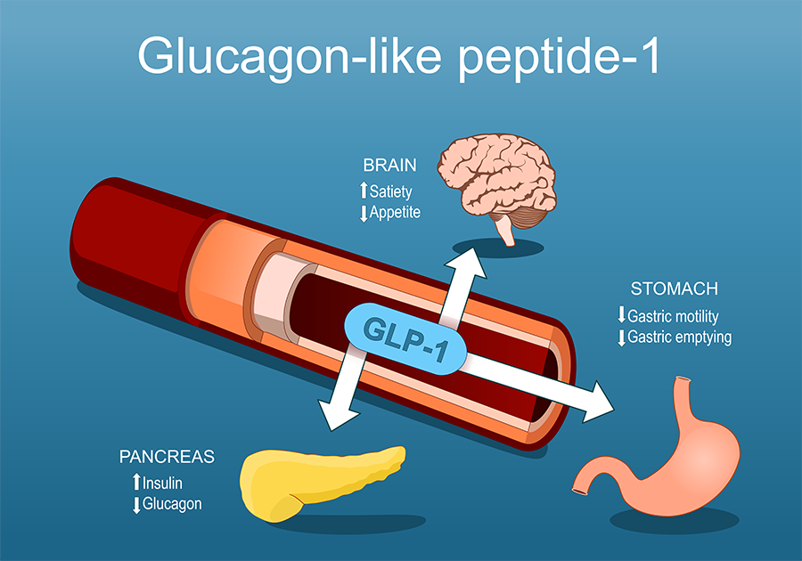 How GLP-1 injection works